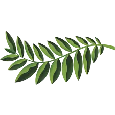 Native Woodlands, PrintReleaf, BXI Consultants