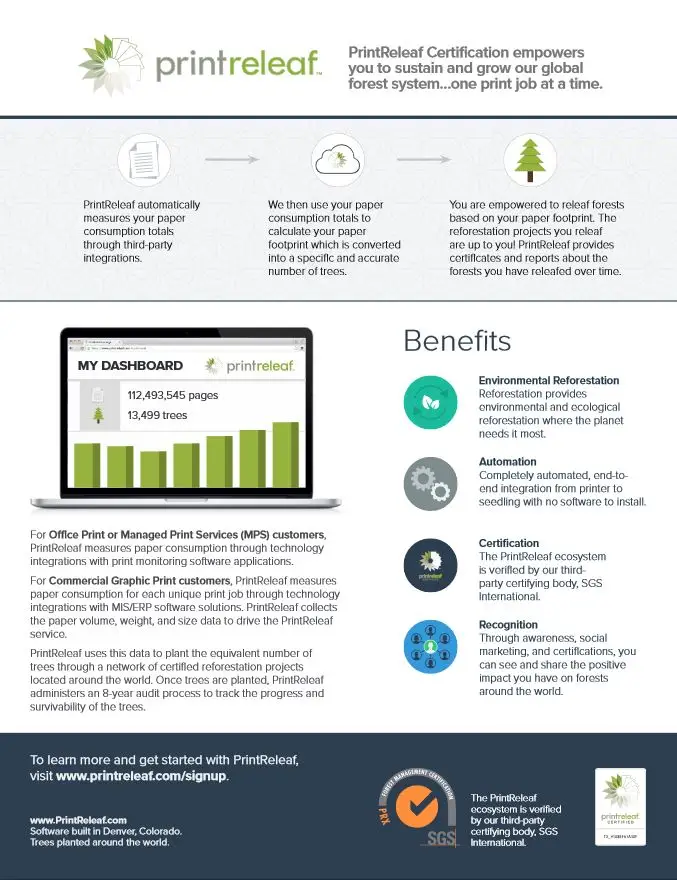 One Page Summary Flyer, PrintReleaf, BXI Consultants