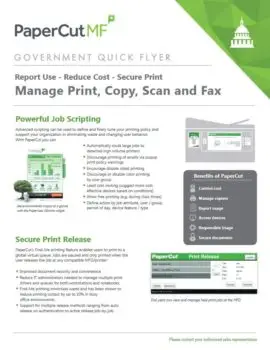 Papercut, Mf, Government Flyer, BXI Consultants